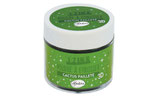 Poudre à embosser Aladine - cactus pailleté