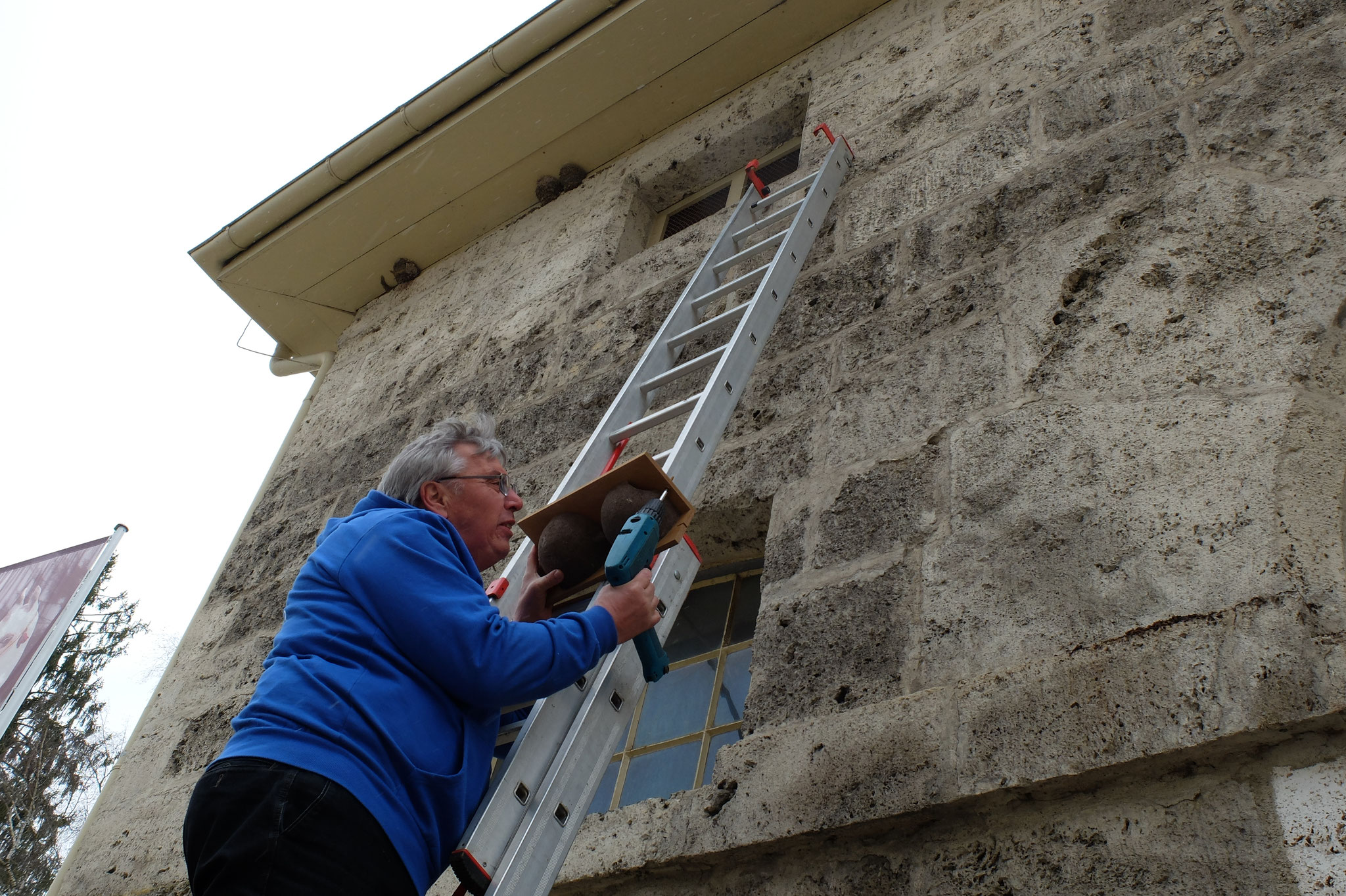 Haup-und Landgestüt Marbach, Foto Rita Goller