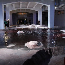 Le silence des sirènes - Biennale d'Art Contemporain de Lyon  - La Sucrière - Septembre 2011  / Photo : Anik Couble